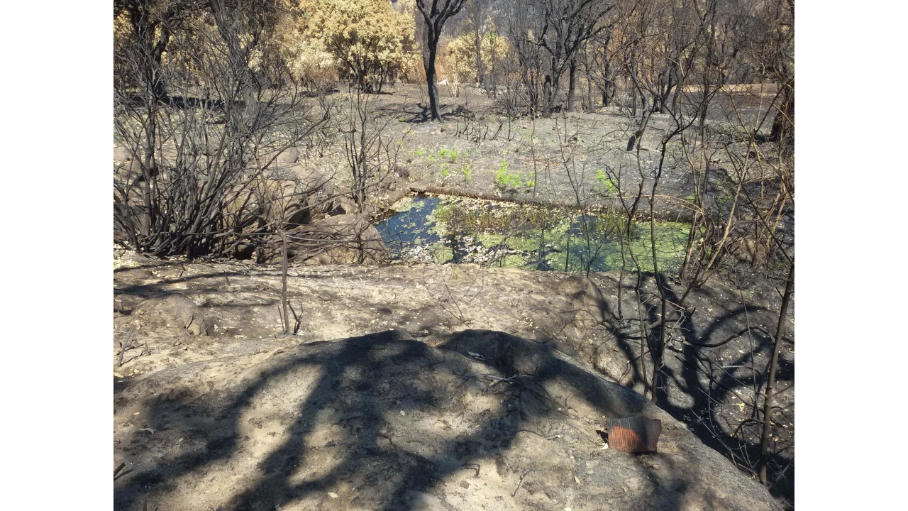 Terreno para Venda em Alferce Foto 5