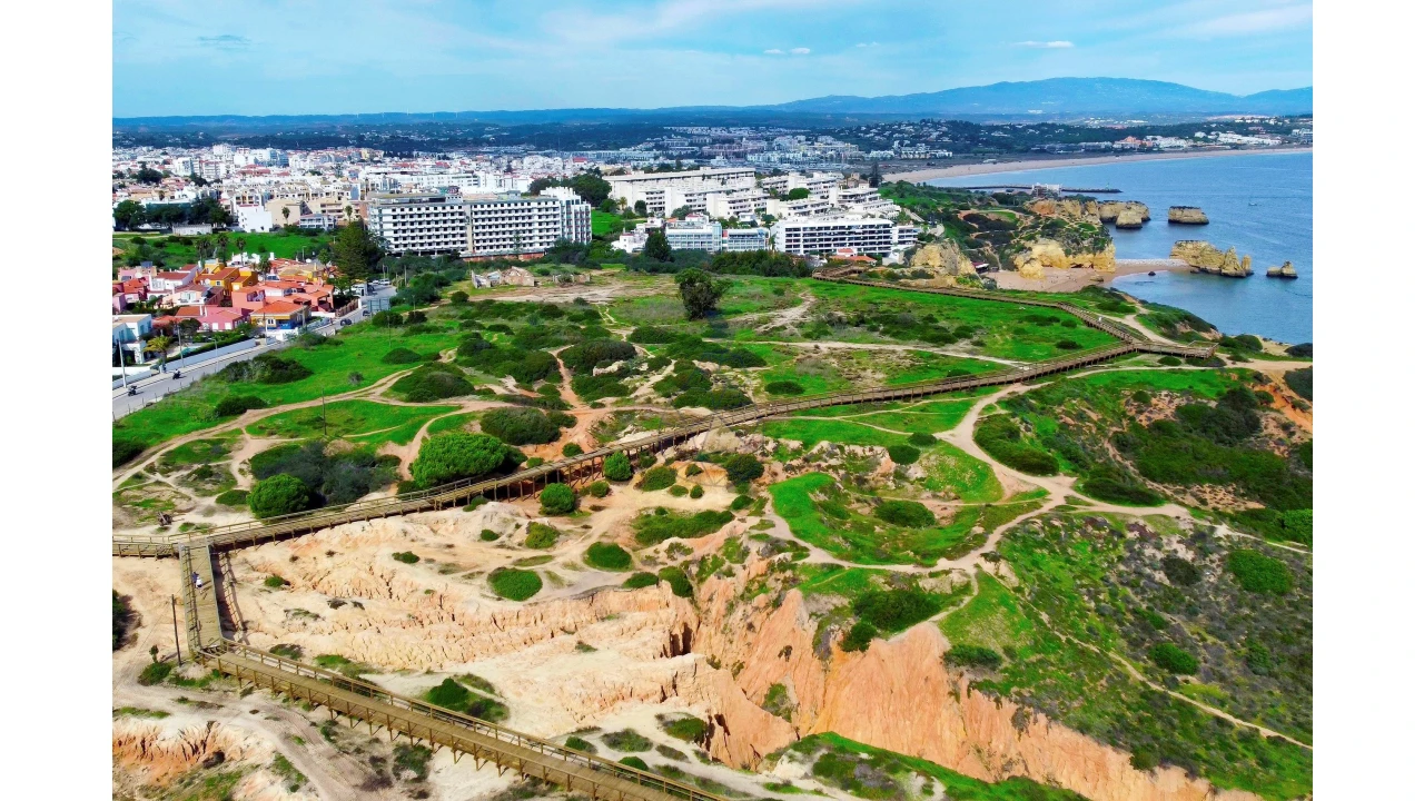 Terreno para Venda em Lagos (São Sebastião e Santa Maria) Foto 11