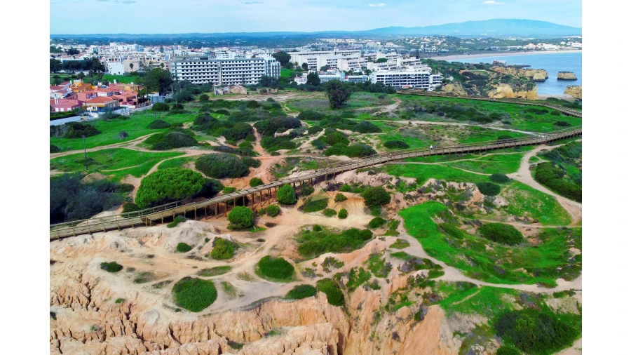 Terreno para Venda em Lagos (São Sebastião e Santa Maria) Foto 9