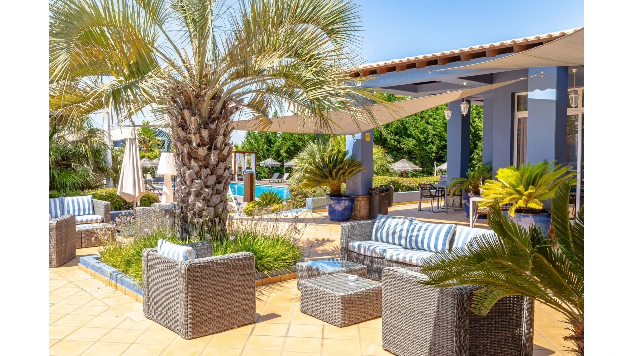 Negócio para Venda em Luz Foto 18