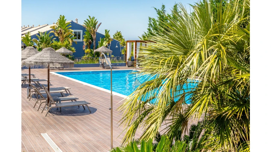 Negócio para Venda em Luz Foto 19