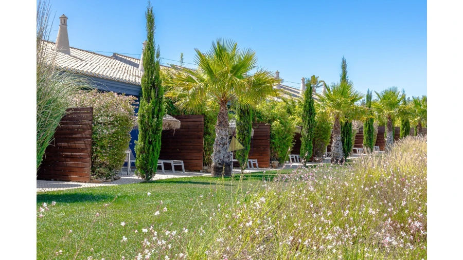 Negócio para Venda em Luz Foto 2