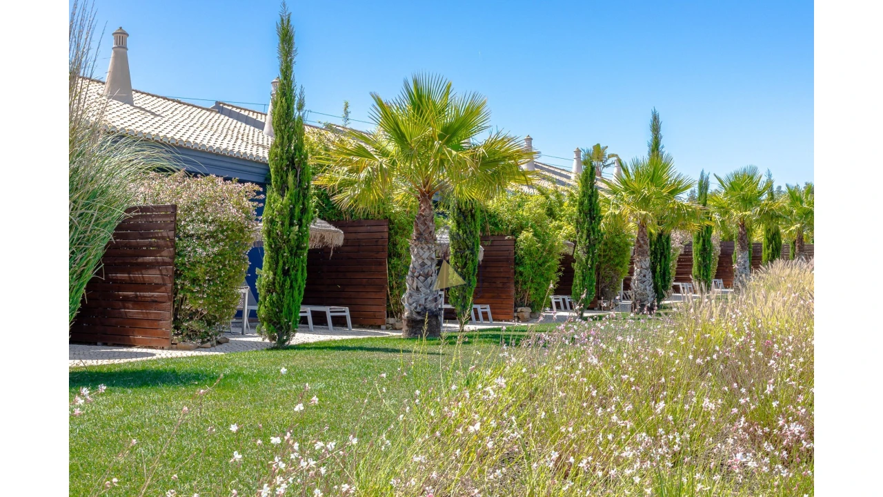 Negócio para Venda em Luz Foto 2