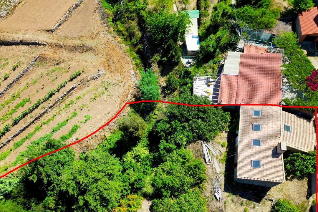 Terreno para Venda em Monchique Foto 1