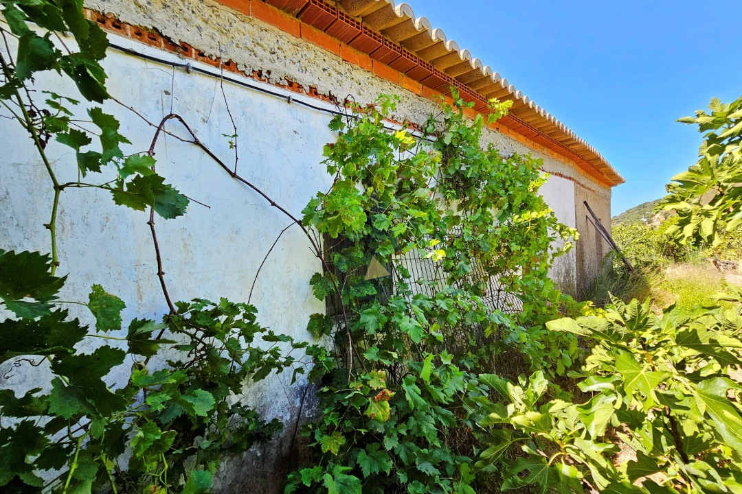 Terreno para Venda em Monchique Foto 14