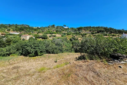 Terreno para Venda em Monchique