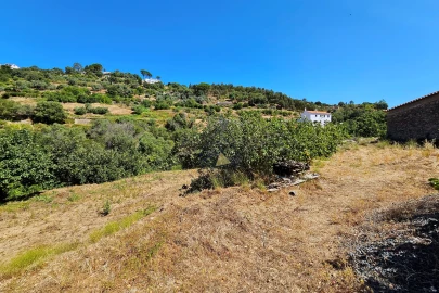 Terreno para Venda em Monchique