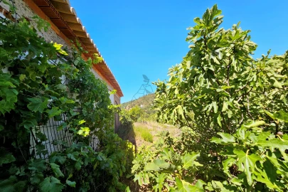 Terreno para Venda em Monchique