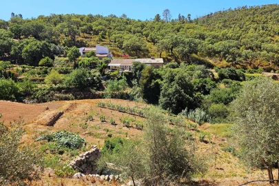 Terreno para Venda em Monchique