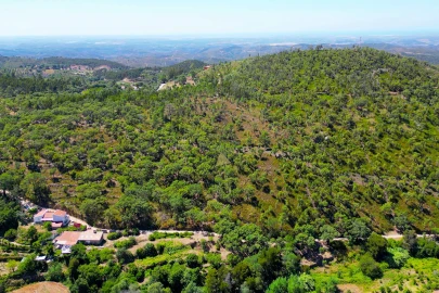 Terreno para Venda em Monchique