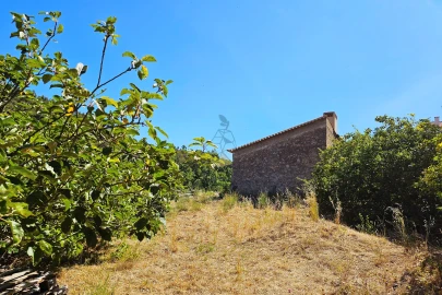 Terreno para Venda em Monchique