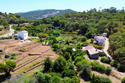 Terreno para Venda em Monchique