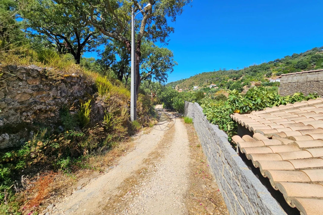Terreno para Venda em Monchique Foto 19