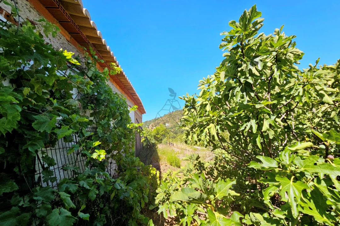 Terreno para Venda em Monchique Foto 15