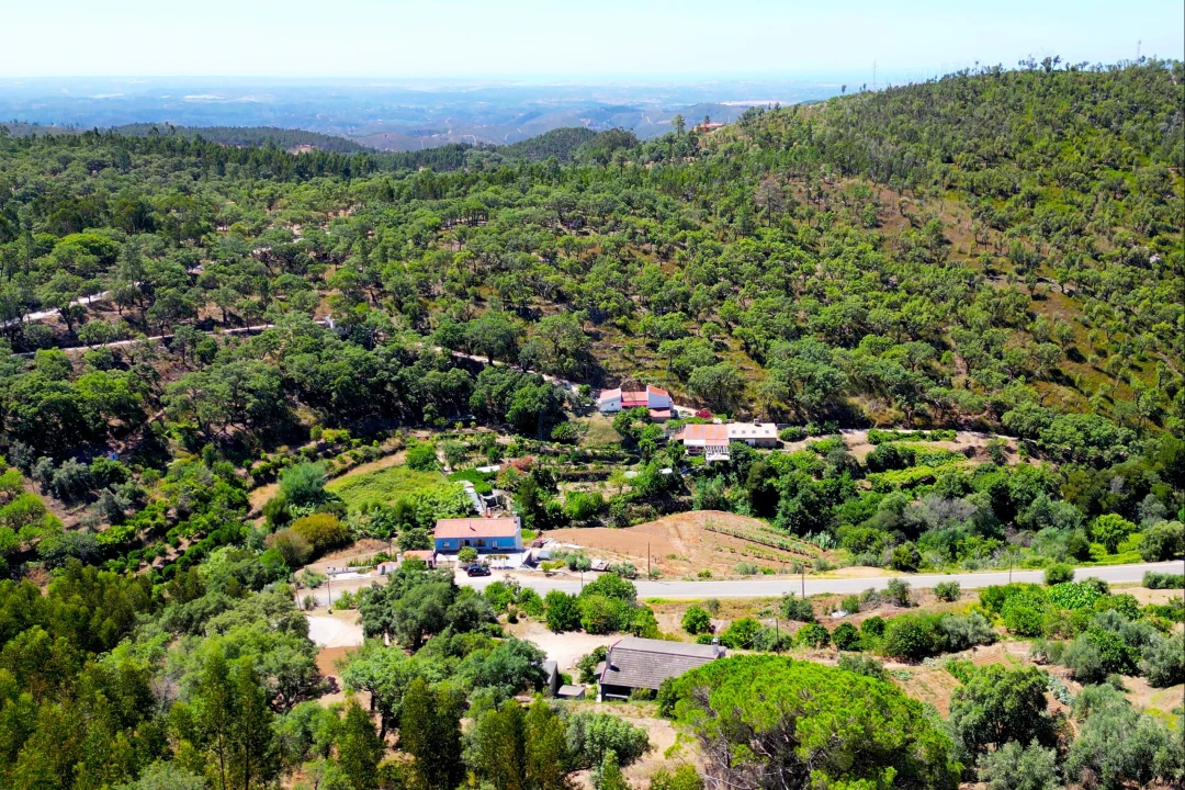 Terreno para Venda em Monchique Foto 24