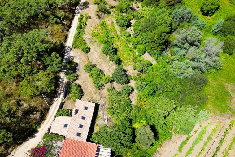 Terreno para Venda em Monchique Foto 25