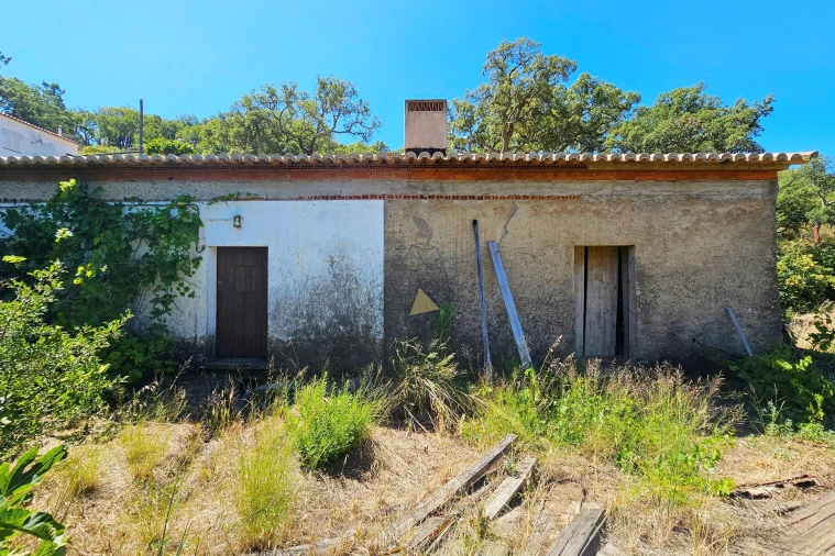Terreno para Venda em Monchique Foto 6