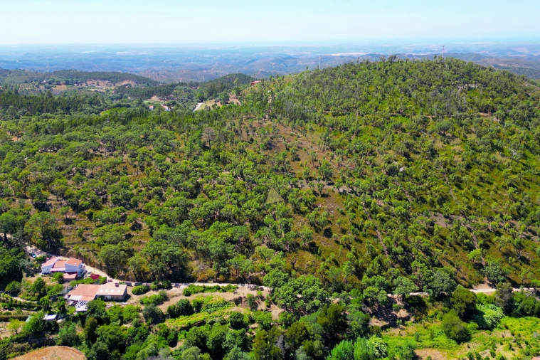 Terreno para Venda em Monchique Foto 20