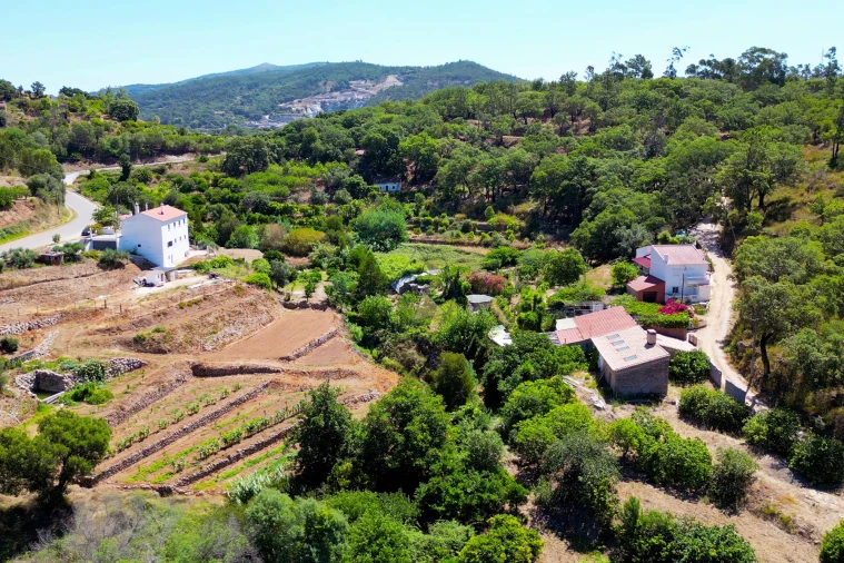 Terreno para Venda em Monchique Foto 8