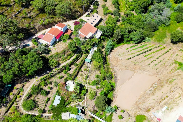 Terreno para Venda em Monchique Foto 9