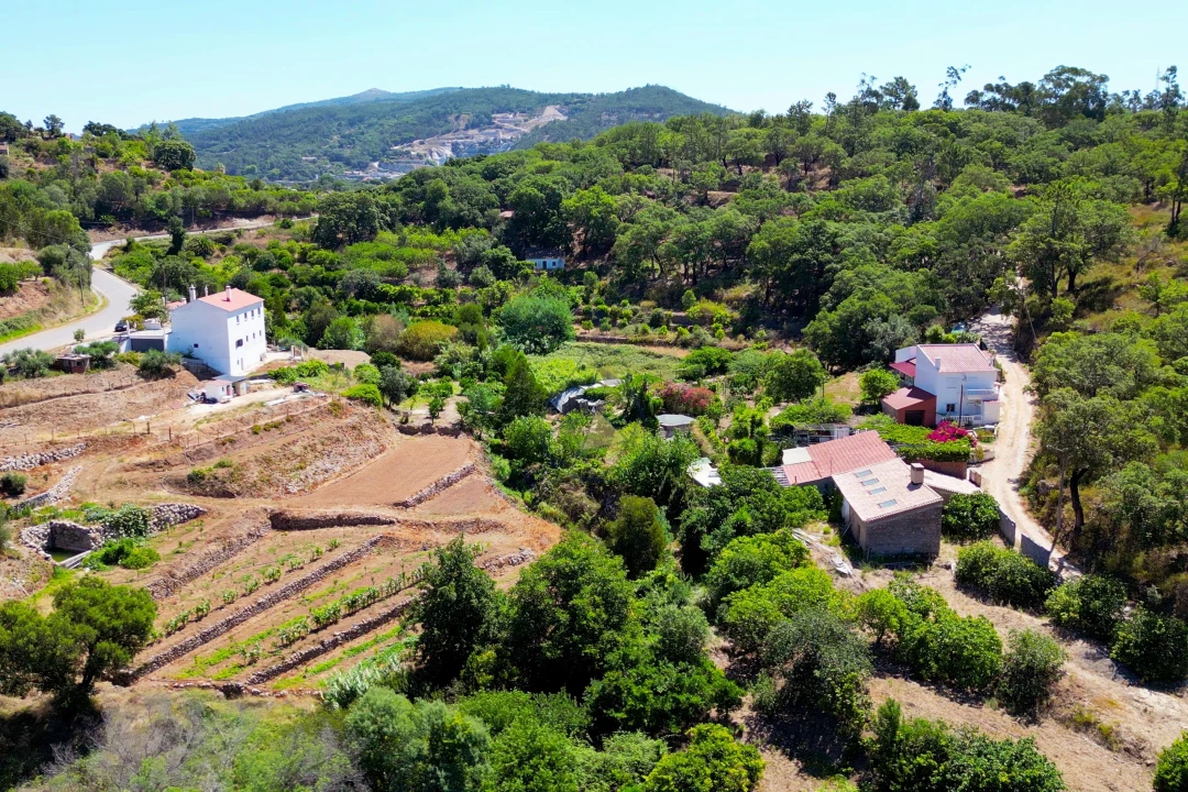 Terreno para Venda em Monchique Foto 8