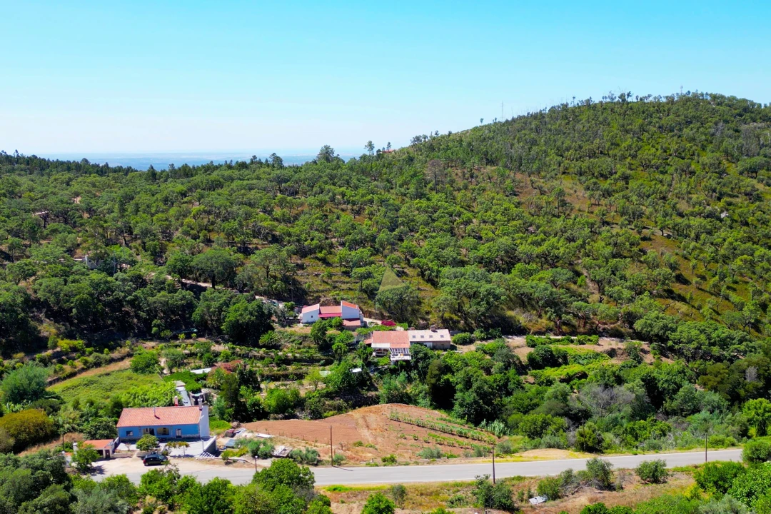 Terreno para Venda em Monchique Foto 23