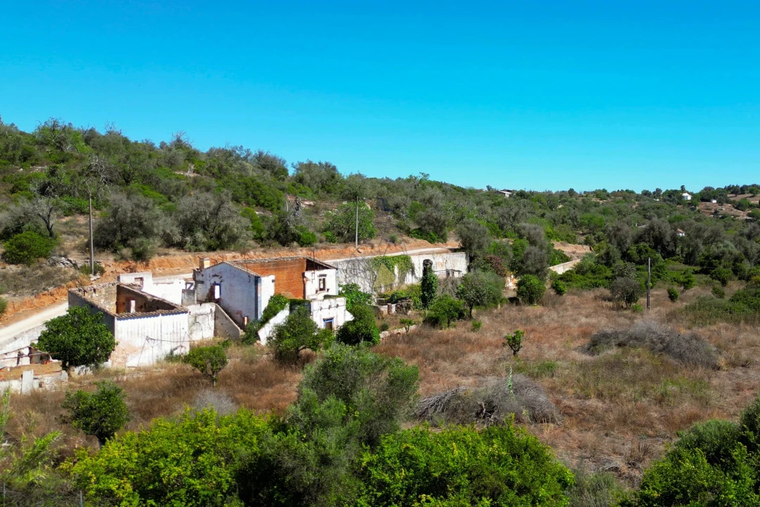 Terreno para Venda em Silves Foto 4