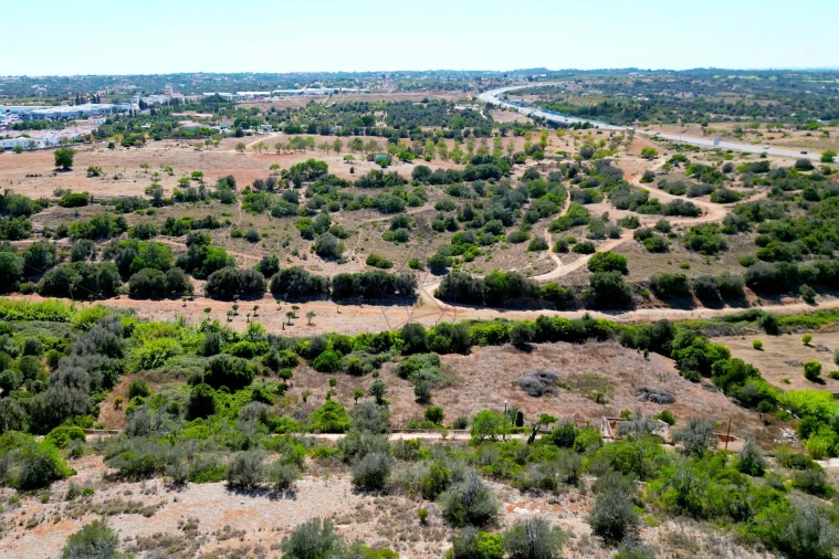 Terreno para Venda em Silves Foto 11