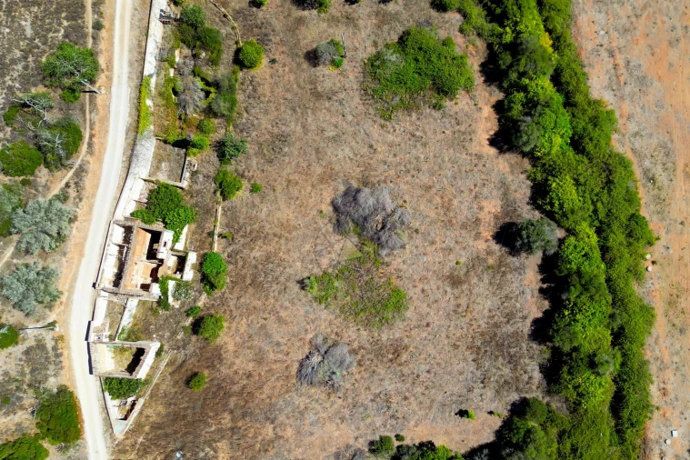 Terreno para Venda em Silves Foto 6