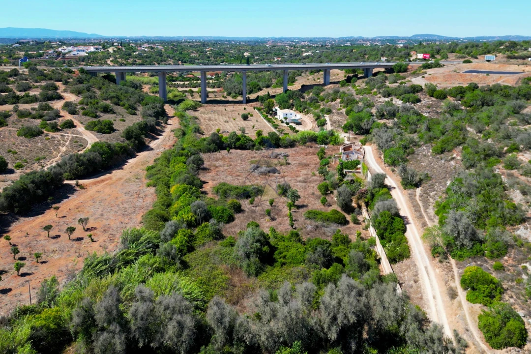 Terreno para Venda em Silves Foto 7