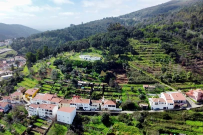 Terreno para Venda em Monchique