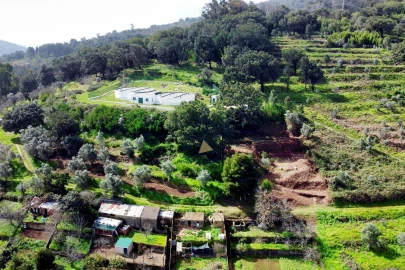 Terreno para Venda em Monchique