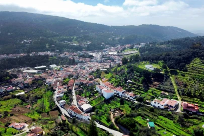Terreno para Venda em Monchique