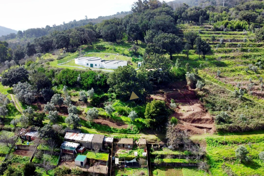 Terreno para Venda em Monchique Foto 8
