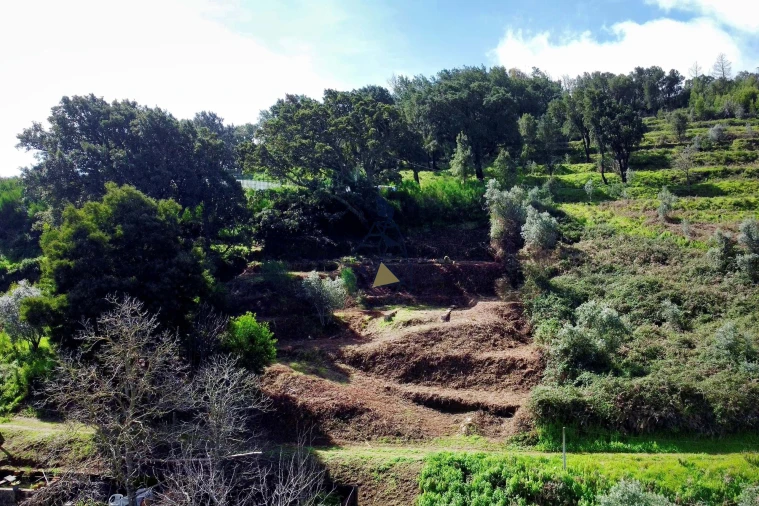 Terreno para Venda em Monchique Foto 9