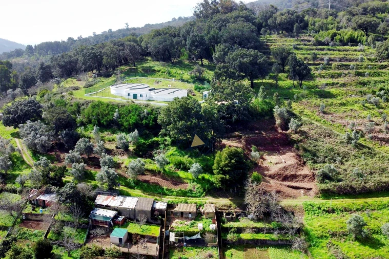 Terreno para Venda em Monchique Foto 8