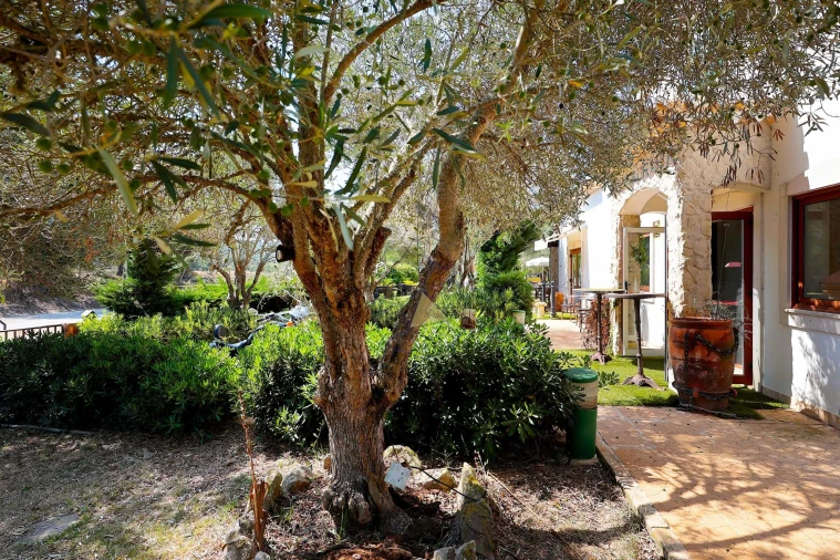 Negócio para Venda em Aljezur Foto 43