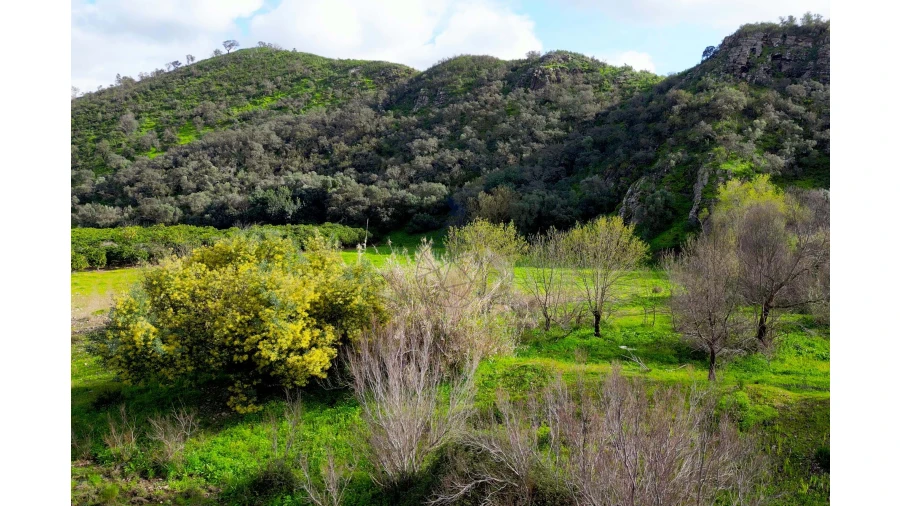 Quinta T2 para Venda em Alferce Foto 14