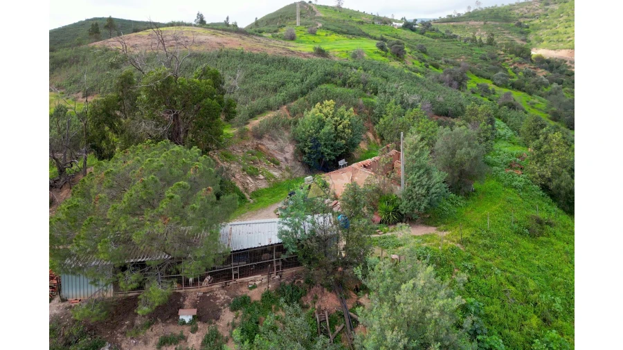 Quinta T2 para Venda em Alferce Foto 11