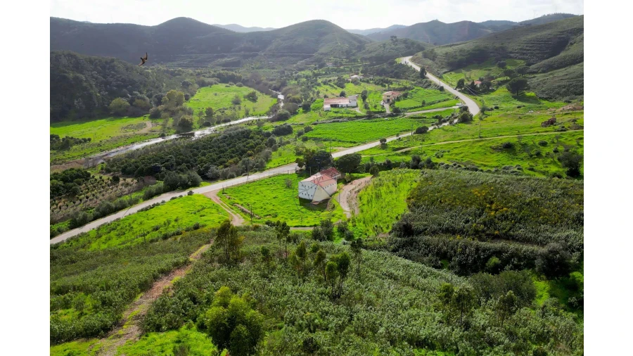 Quinta T2 para Venda em Alferce Foto 9