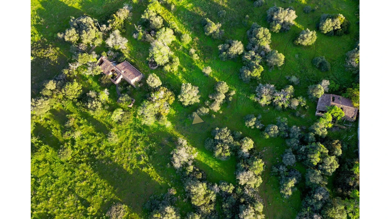 Quinta para Venda em Lagos (São Sebastião e Santa Maria) Foto 12
