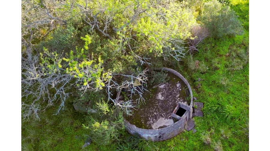 Quinta para Venda em Lagos (São Sebastião e Santa Maria) Foto 11