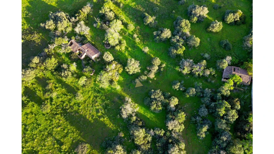 Quinta para Venda em Lagos (São Sebastião e Santa Maria) Foto 12