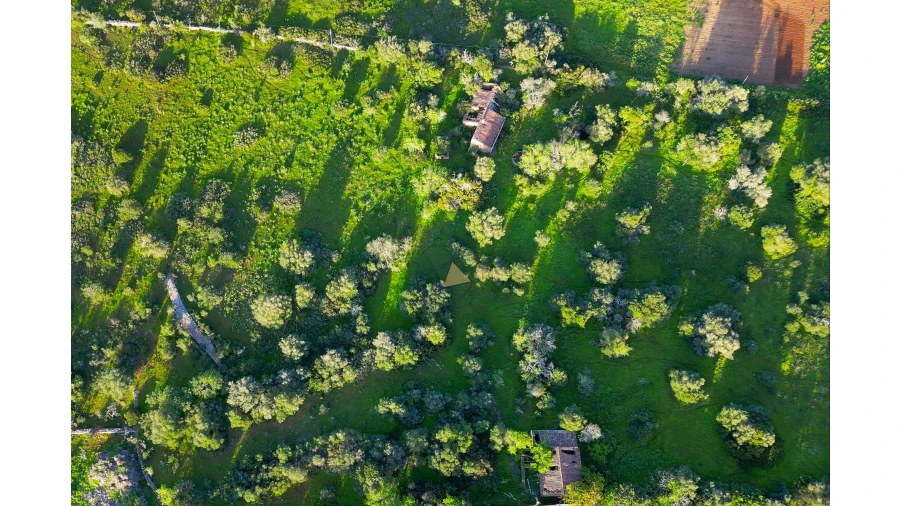 Quinta para Venda em Lagos (São Sebastião e Santa Maria) Foto 14