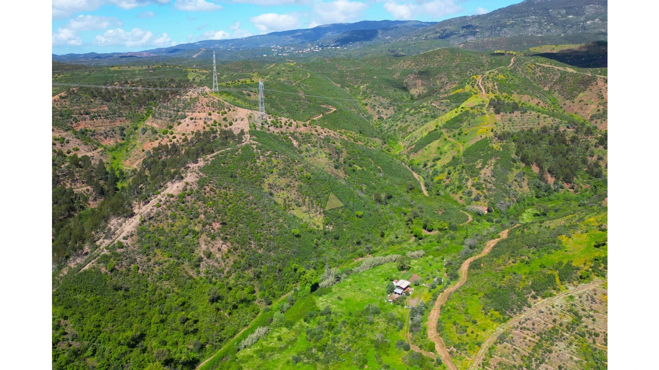 Terreno para Venda em Alferce Foto 13
