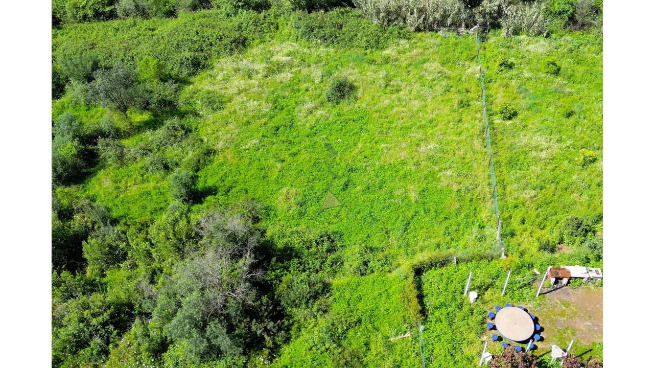 Terreno para Venda em Alferce Foto 16