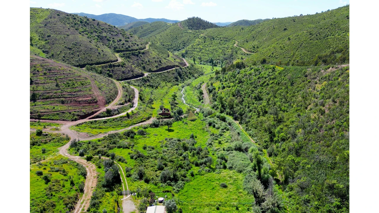 Terreno para Venda em Alferce Foto 22
