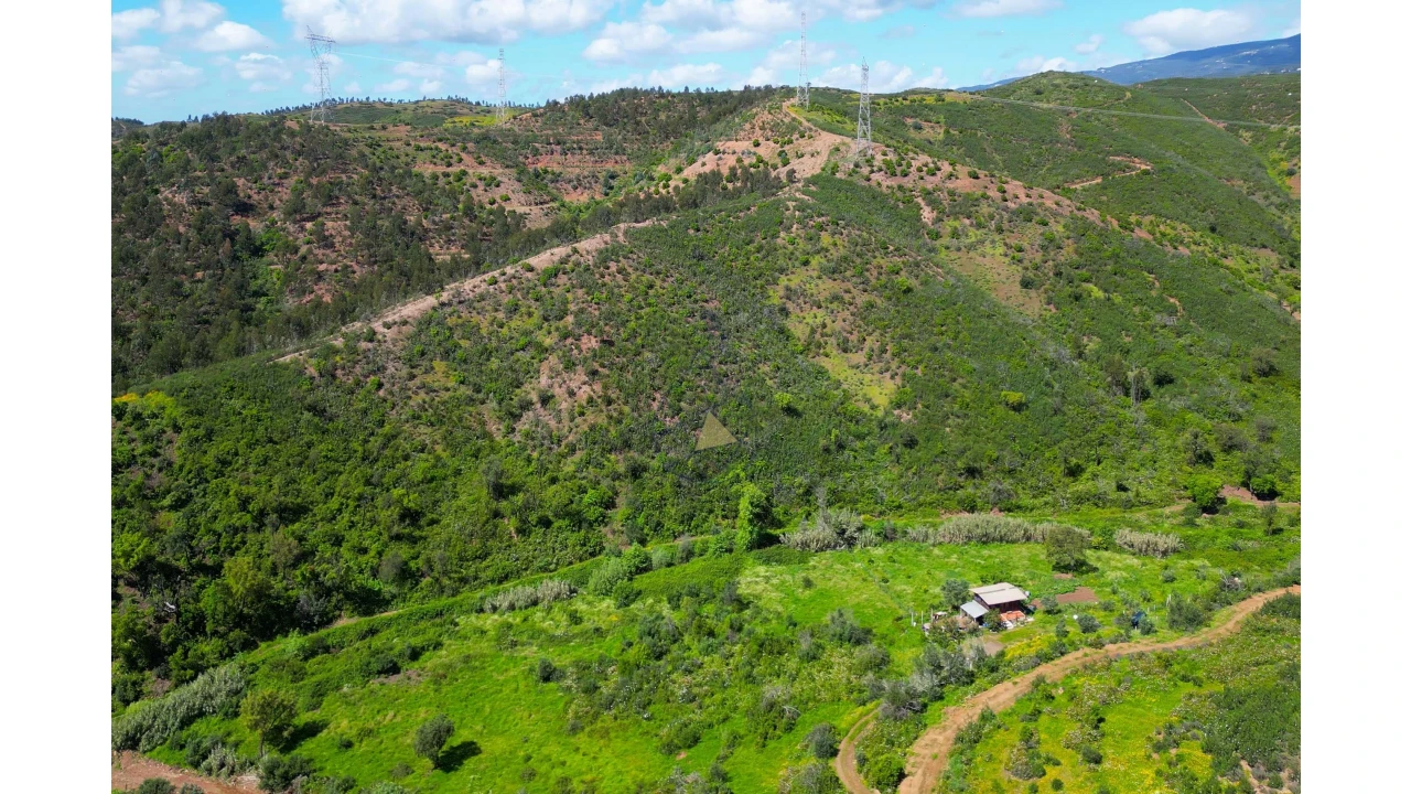 Terreno para Venda em Alferce Foto 14