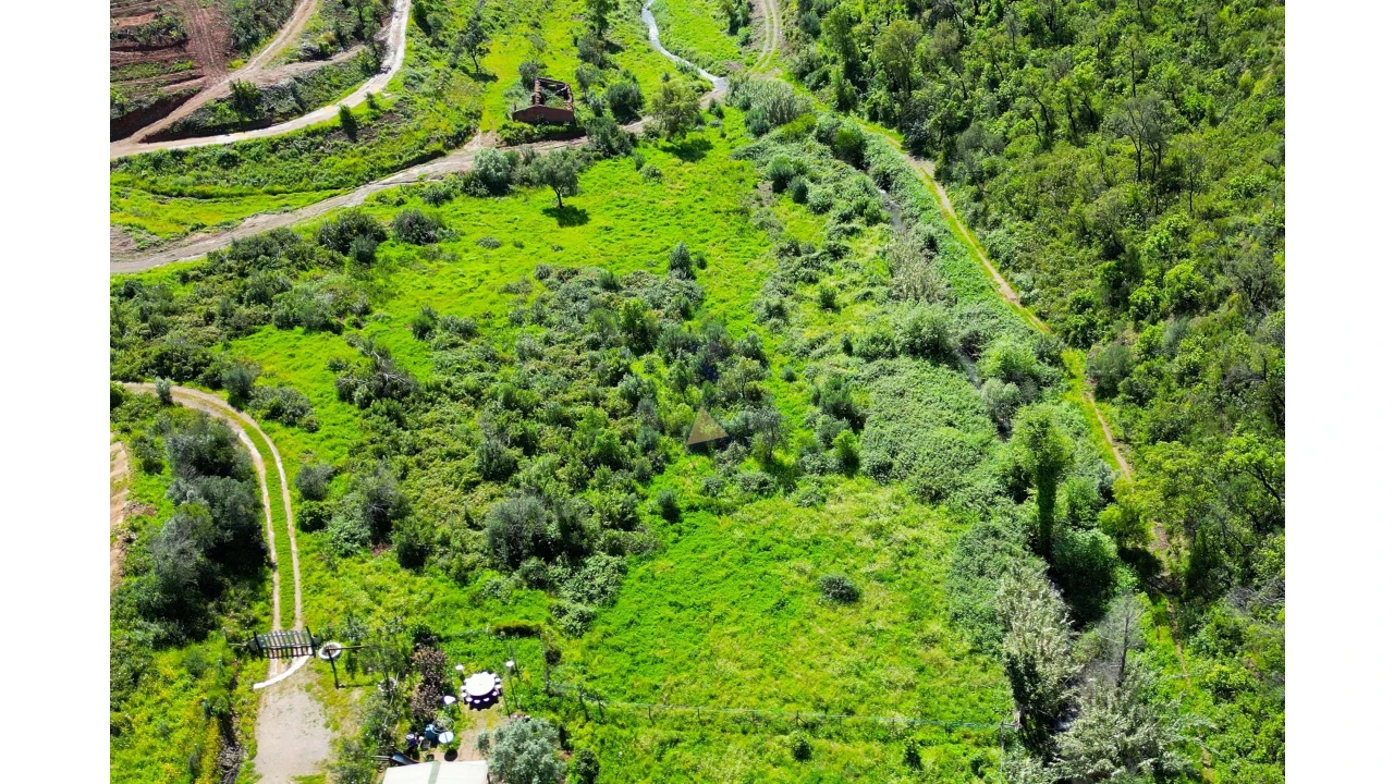 Terreno para Venda em Alferce Foto 18