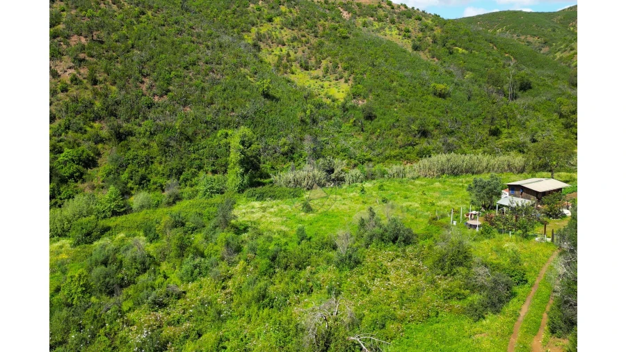 Terreno para Venda em Alferce Foto 10